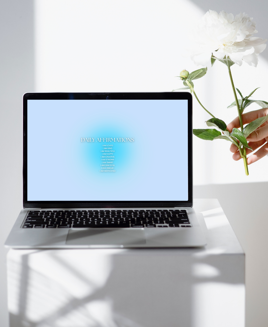 Aura Circles Wallpaper