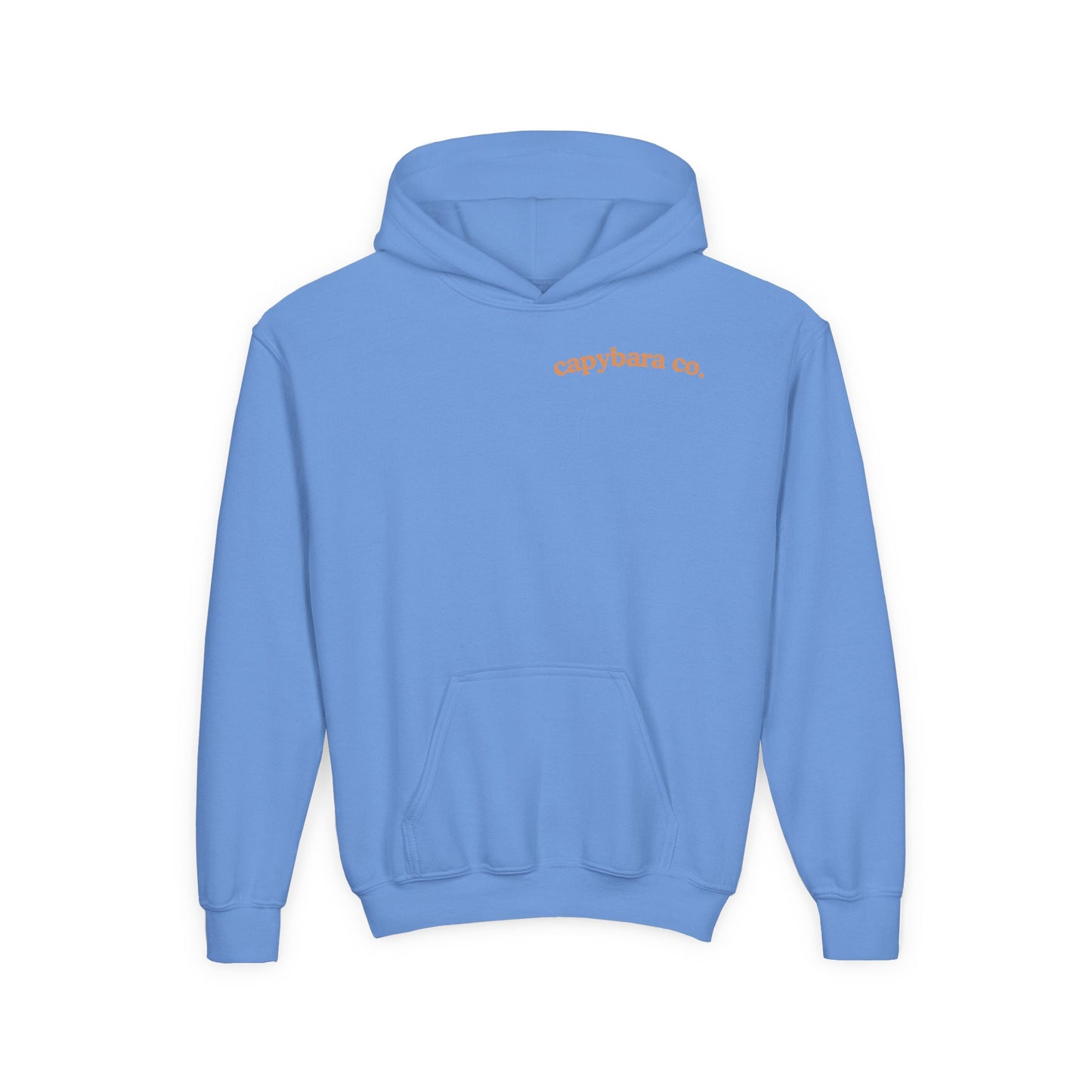 Capybara Bath: Youth Heavy Blend Hooded Sweatshirt