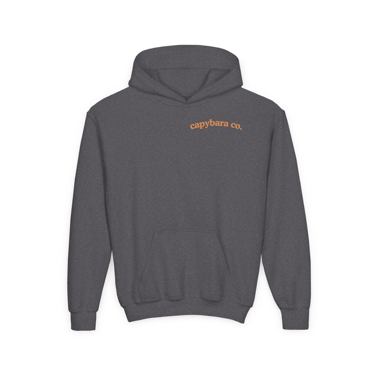 Capybara Bath: Youth Heavy Blend Hooded Sweatshirt