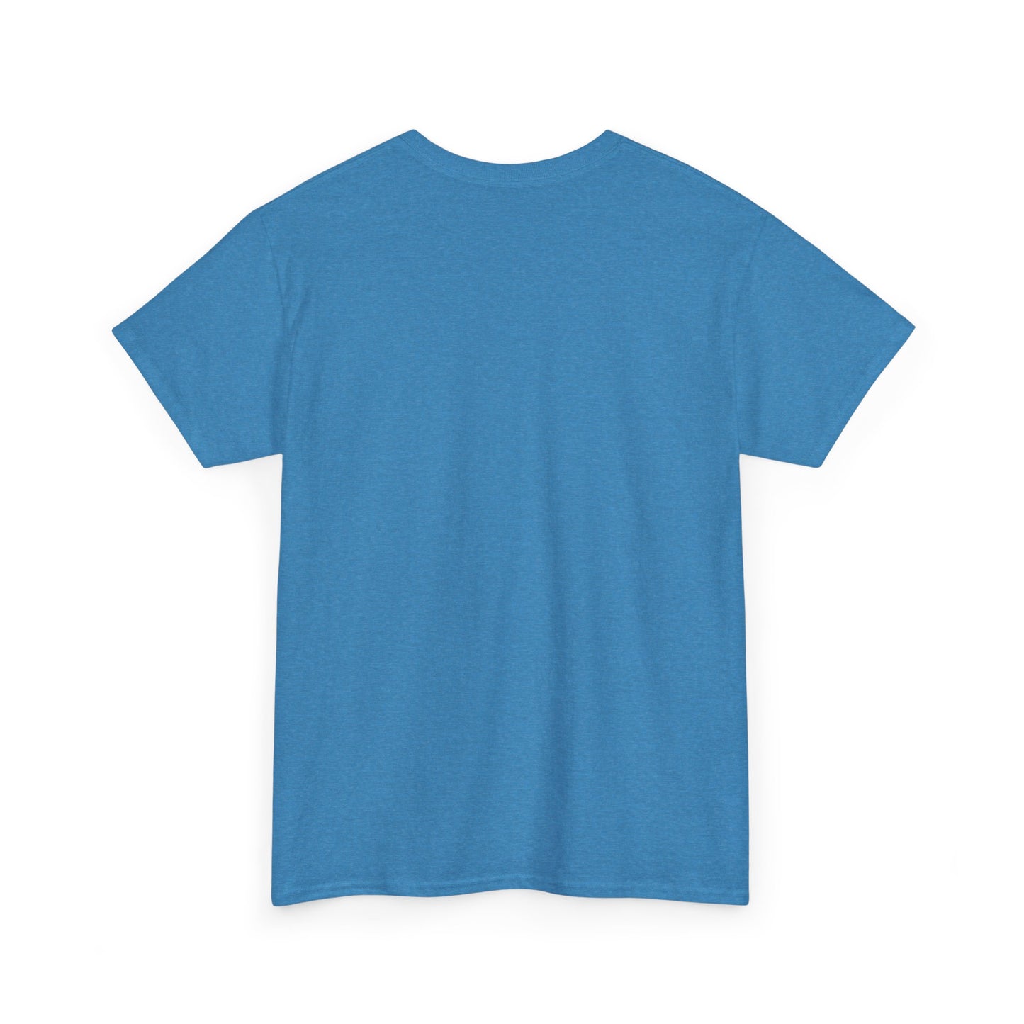 astronaut capy tshirt