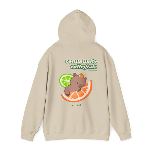 Citrus County Hoodie