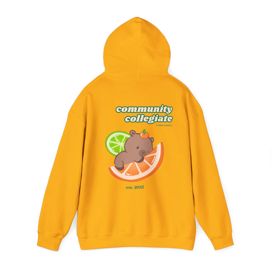 Citrus County Hoodie