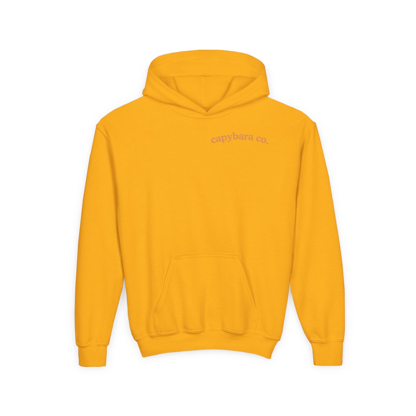 Capybara Bath: Youth Heavy Blend Hooded Sweatshirt